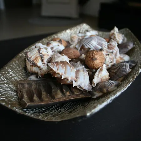 El Mocan Luxury شقة *