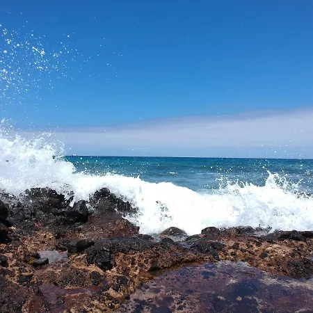 El Mocan Luxury * بالم مار